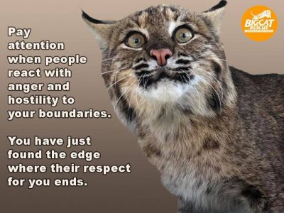 Memes and Quote of the Day - “Pay attention when people react with anger and hostility to your boundaries. You have just found the edge where their respect for you ends”