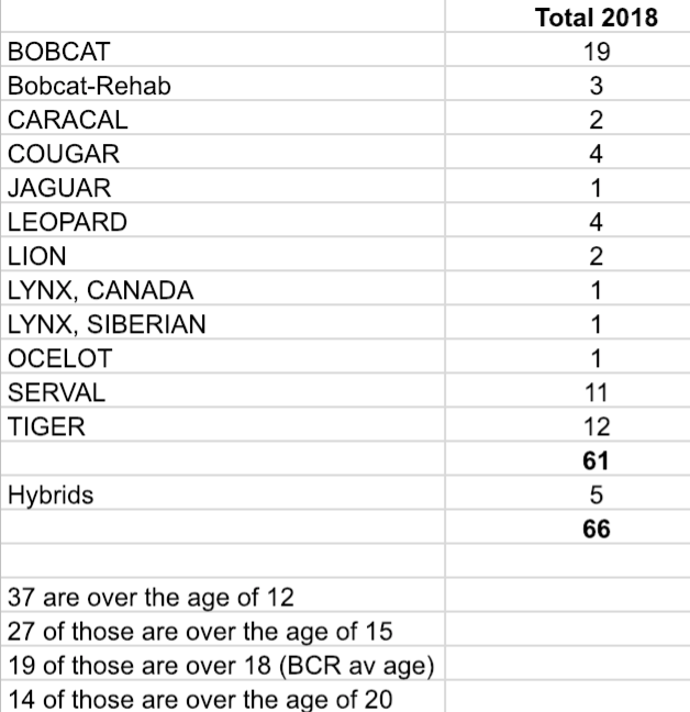 Cat Census 2018  2018 Annual Report Cat Census 2018 12 31