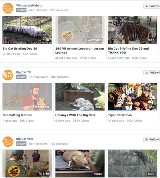 Facebook Watch Shows Big Cats  2018 Annual Report FB watch 2018