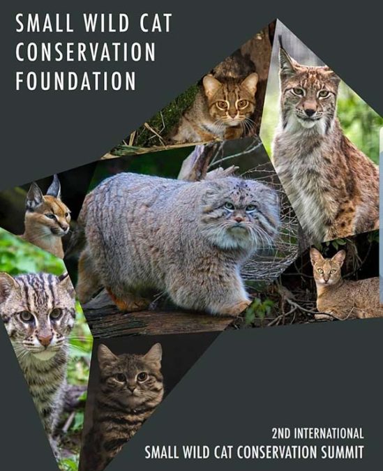 Small Wild Cat Conservation Summit is Sri Lanka