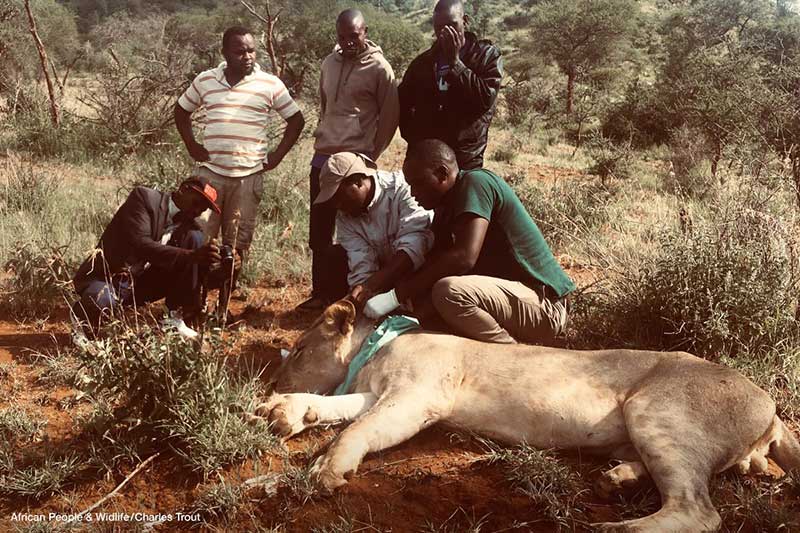 THE AFRICAN PEOPLE & WILDLIFE FUND Vets