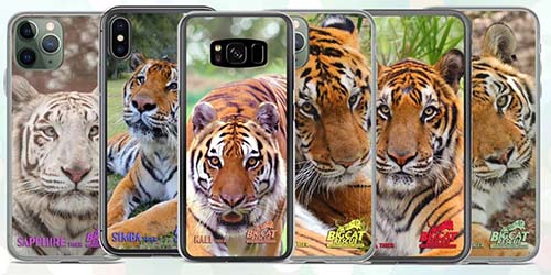 Big Cat Rescue Merchandise Tiger Phone Cases