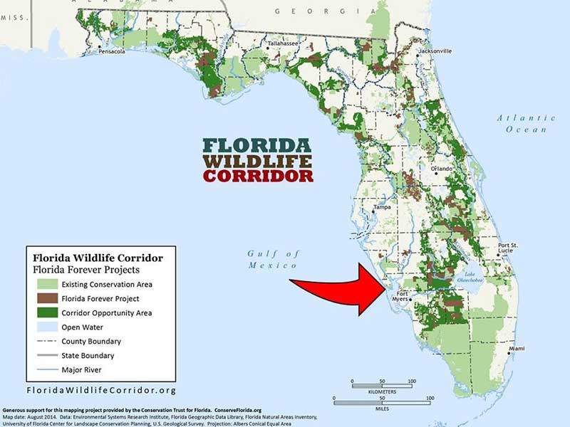 FLORIDA WILDLIFE CORRIDOR Map  Insitu2019 FLORIDA CORRIDOR 3