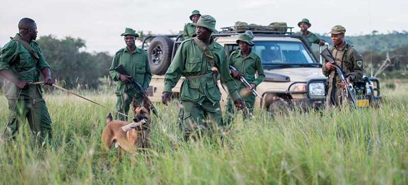 Singita Grumeti Fund Tanzania Rangers