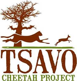 TSAVO CHEETAH PROJECT logo  Insitu2019 Tsavo 1