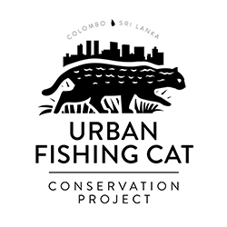 Urban Fishing Cat logo  InSitu 2020 URBAN FISHING CAT 1