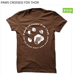 Paws Crossed For Thor  Thor PawsCrossedForThor