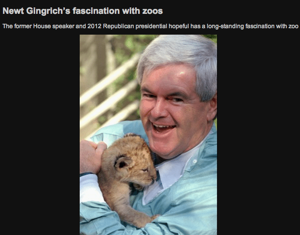 NewtGingrich2011BeingStupidWithLionCub