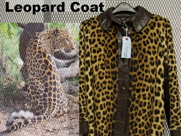 Leopard Coat Illegally For Sale Online