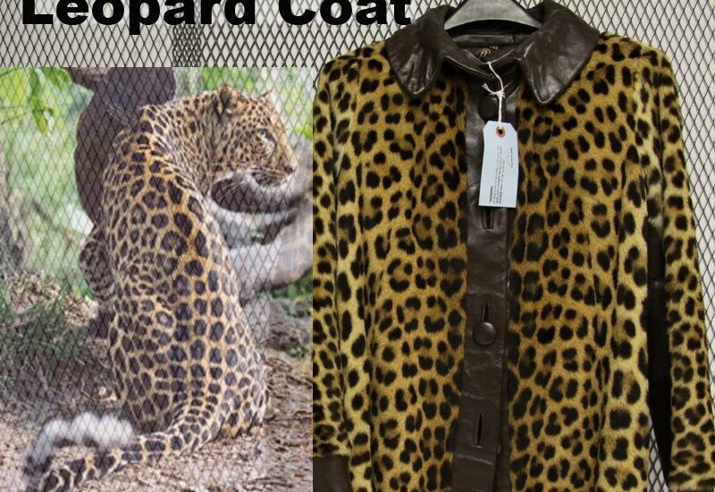 Leopard Coat Illegally For Sale Online