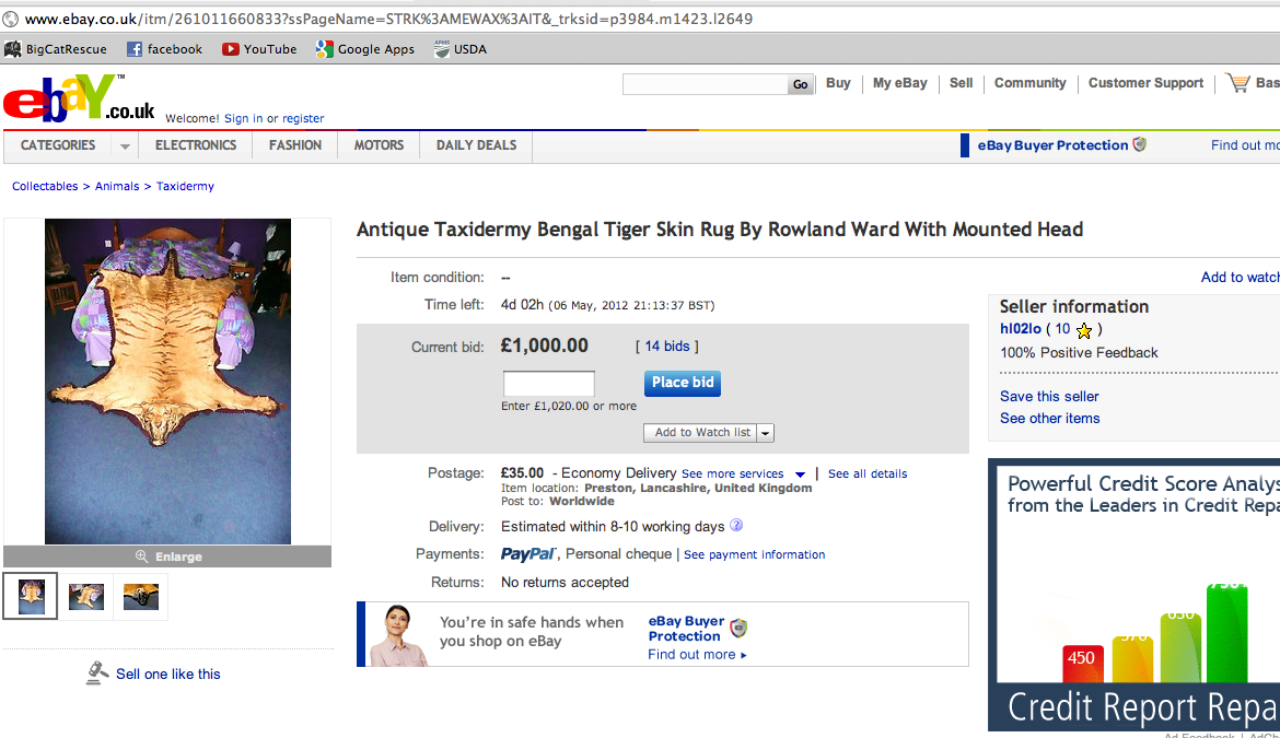 Tiger-Skin-eBay-UK-2012-05-02 at 1.41.39 PM