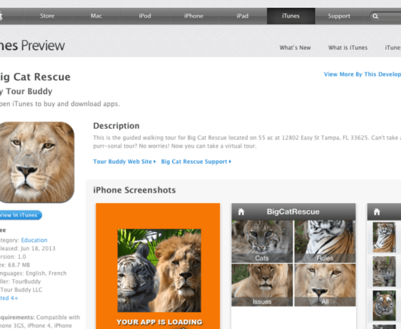 Big-Cat-Rescue-App