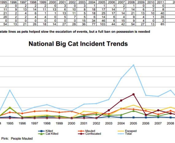 Big Cat Attacks Graph 2014