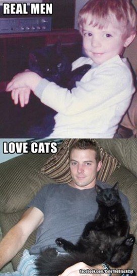Chris Poole Real Men Love Cats