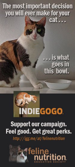Feline_Nutrition_Indiegogo_Tall  Cat Chat 60 Feline Nutrition Indiegogo Tall f improf 250x550