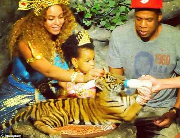 Beyonce tiger cub  Cub Petting Shame Beyonce