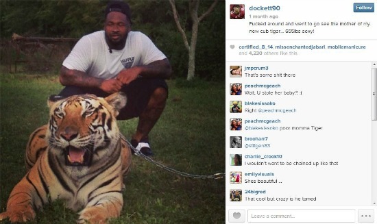 Darnell Dockett tiger  Cub Petting Shame docket instagram