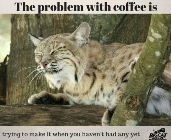 The-problem-with-coffee
