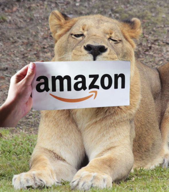 Amazon Smile - Big Cat Rescue