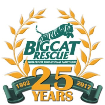 25th Anniversary of Big Cat Rescue