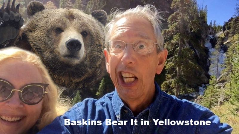 Baskins Bear It In Yellowstone