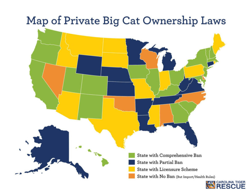 Map of Private Exotic Cat and Cub Ownership Laws