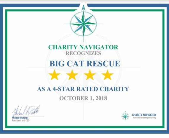 2018 Charity Navigator Certificate