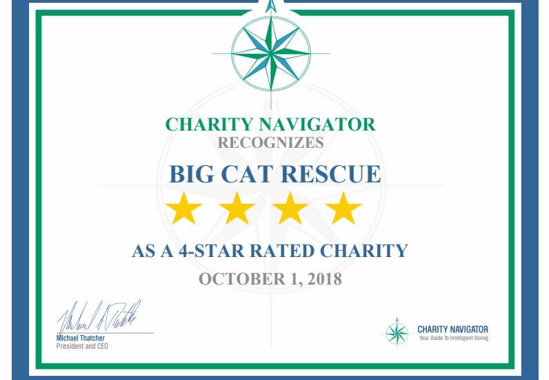2018 Charity Navigator Certificate