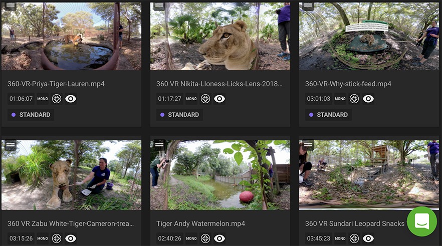 PixVana 360 VR Videos of Big Cats