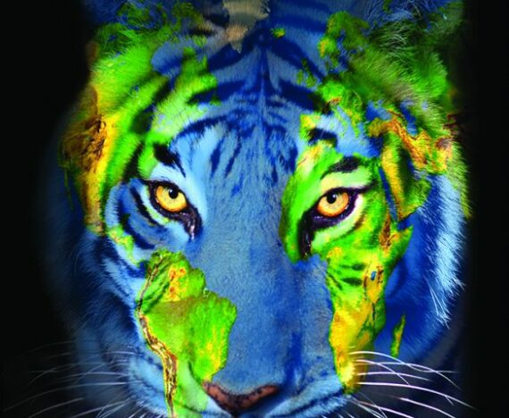 Planet B Tiger Earth Face