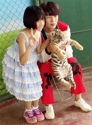 Asian Circus Lion Tiger Abuse  Wildcat Walkabout 2020 Asian Circus Tiger Lion Cub Abuse 6