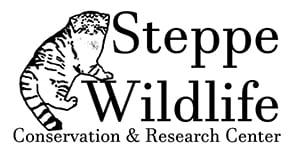 Pallas-Cat-Kittens-Steppe-Wildlife-Conservation- Research  Wildcat Walkabout 2020 Pallas Cats Steppe Wildlife Conservation Research Logo