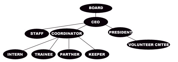 Organization Chart ORGCHART