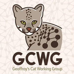 GEOFFREY CAT logo