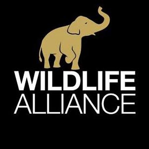 WILDLIFE ALLIANCE Logo