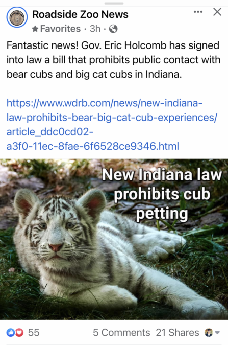 Big Cat Bans Enacted