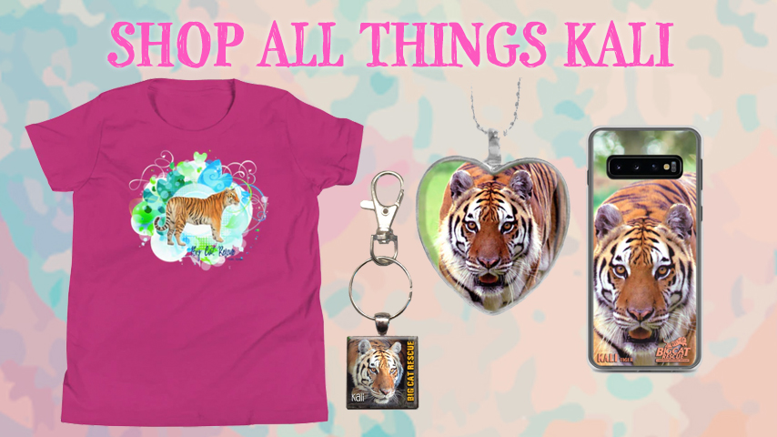Kali Tiger Online Store