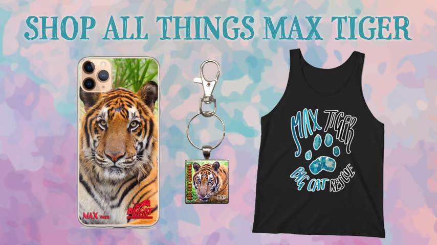 Max Tiger Online Store