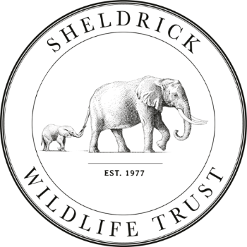 The Sheldrick Wildlife Trust 1