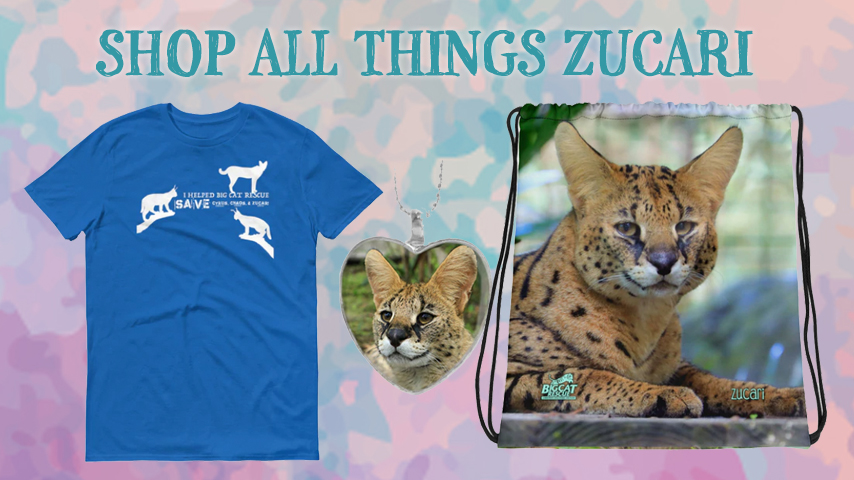 Zucari Serval Online Store