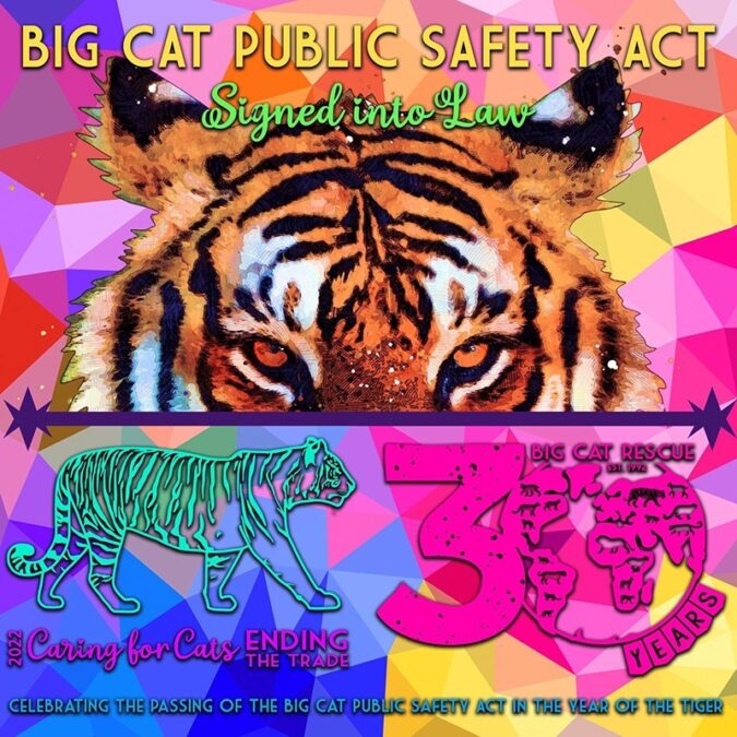 Big Cat Public Safety Act is signed into law.  Big Cat Public Safety Act Becomes Law BigCatPublicSafetyActBecomesLaw800