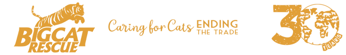 2024 Big Cat Rescue logo