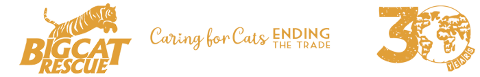 2024 Big Cat Rescue logo