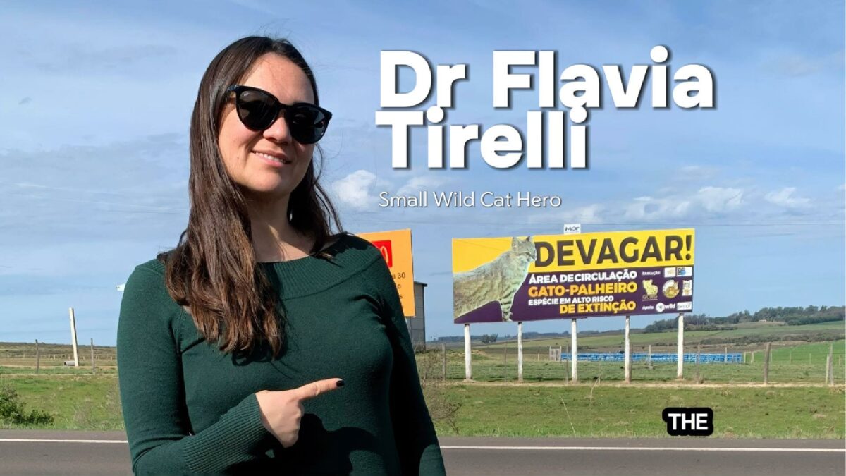 Dr Flavia Tirelli