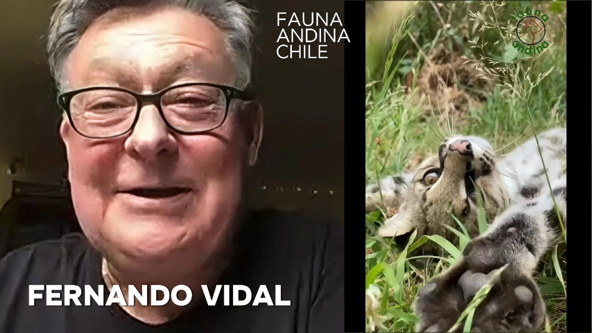 Fernando Vidal Chile